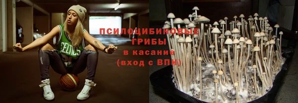 шишки Алексин