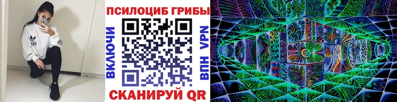 Псилоцибиновые грибы Psilocybine cubensis Щигры